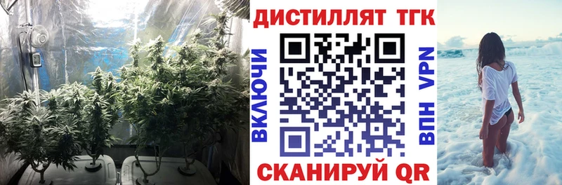 хочу   Чекалин  Дистиллят ТГК Wax 