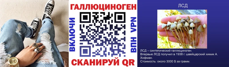 Псилоцибиновые грибы MAGIC MUSHROOMS  ОМГ ОМГ ссылка  Чекалин 