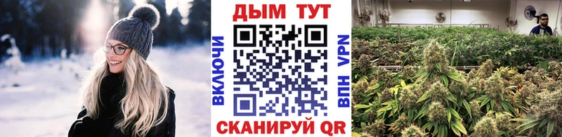 МАРИХУАНА гибрид Чекалин