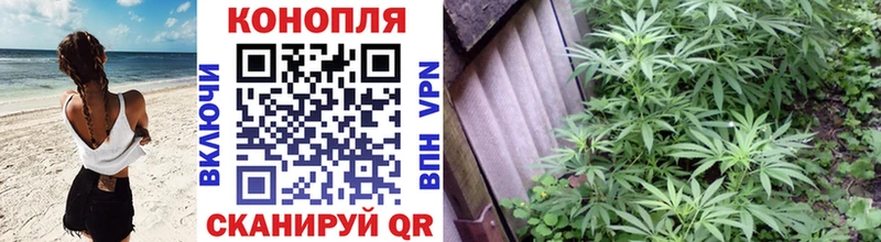 Шишки марихуана тримм купить наркотики сайты Чекалин